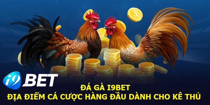 Vừa xem vừa kiếm tiền cùng kèo đá gà I9Bet